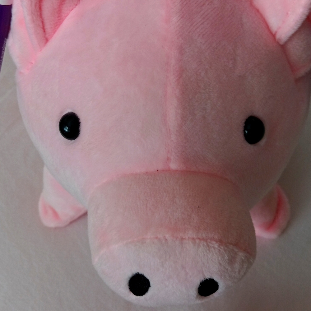 Stuffed animal/Piggy